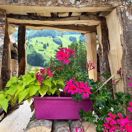 Ferienwohnung Im Historischen Schwarzwaldhaus Wieden Exterior foto