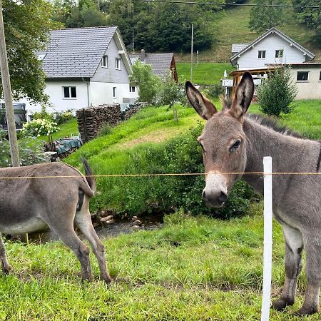 Ferienwohnung Im Historischen Schwarzwaldhaus Wieden Exterior foto