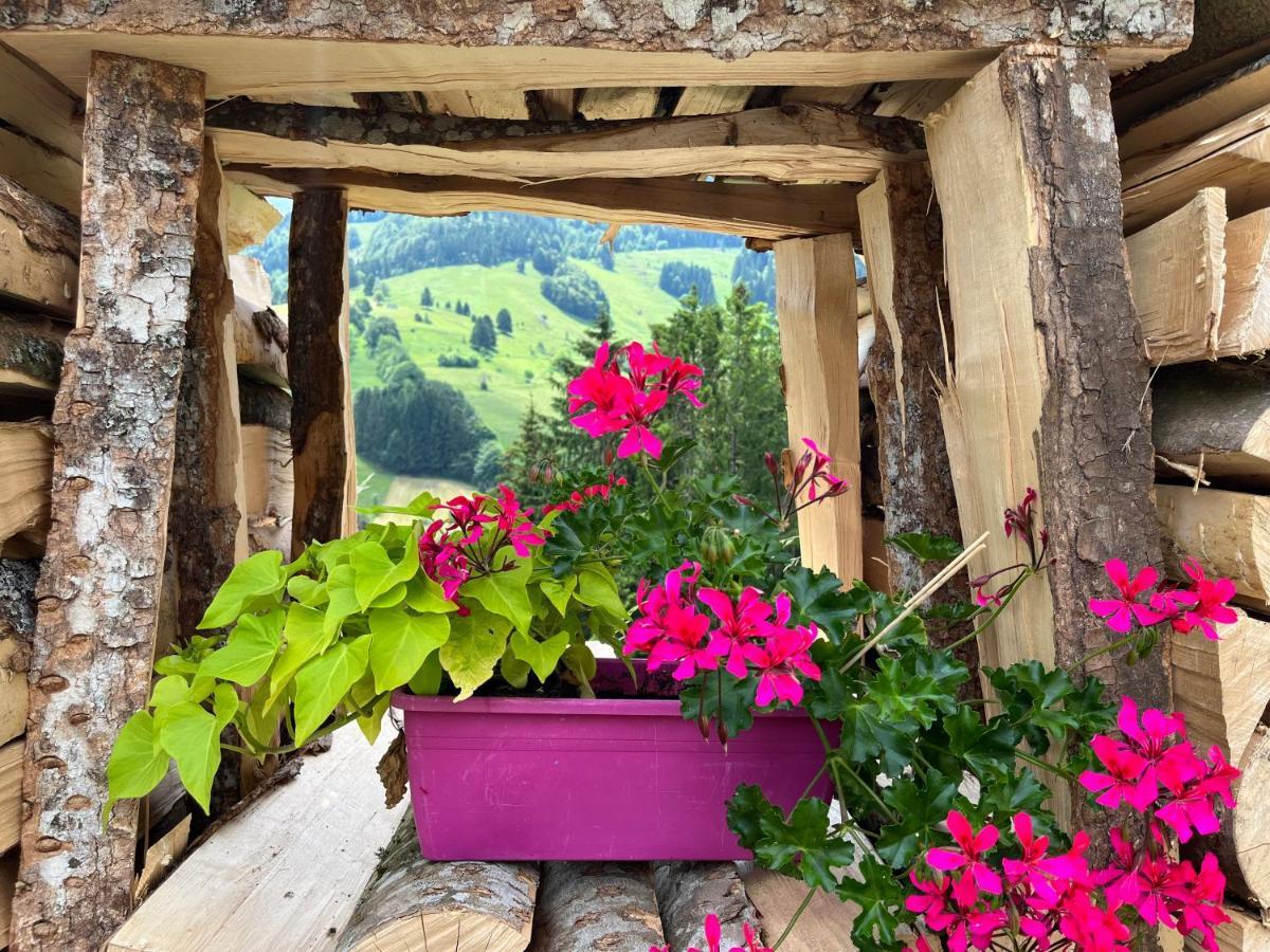 Ferienwohnung Im Historischen Schwarzwaldhaus Wieden Exterior foto