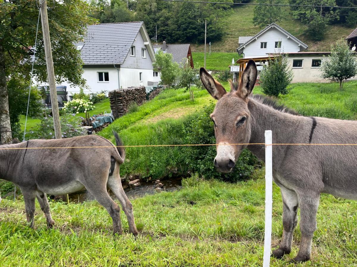 Ferienwohnung Im Historischen Schwarzwaldhaus Wieden Exterior foto