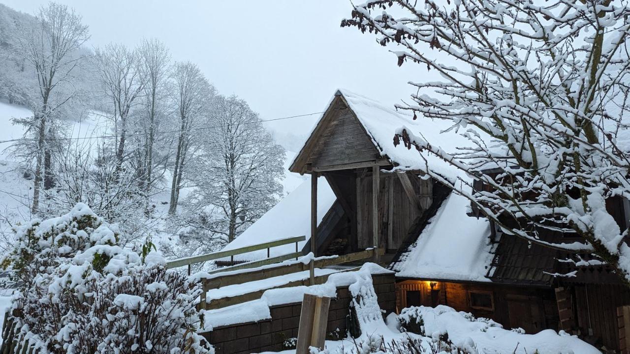 Ferienwohnung Im Historischen Schwarzwaldhaus Wieden Exterior foto